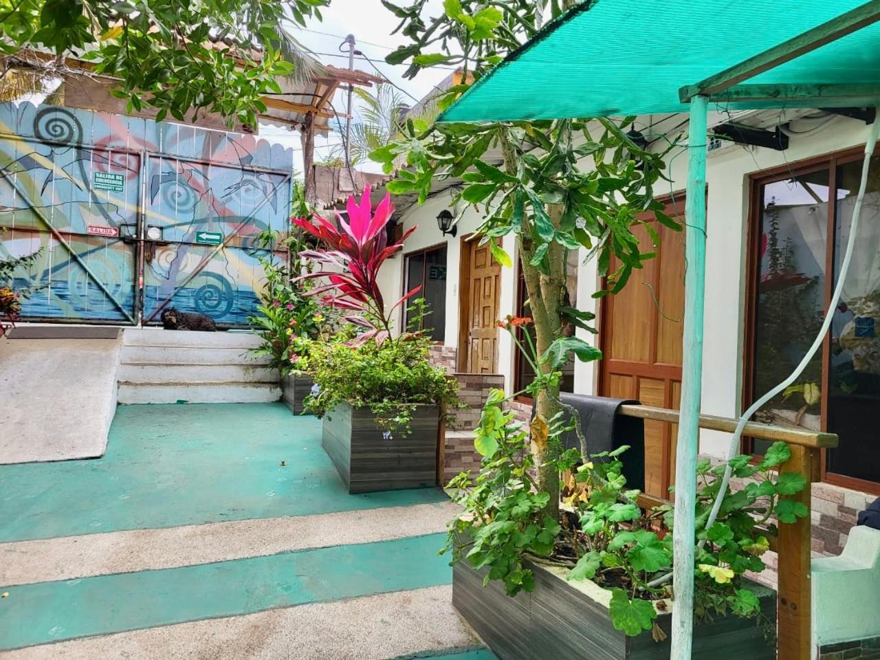 Nelyza'S Suites & Adventure Puerto Ayora  Dış mekan fotoğraf